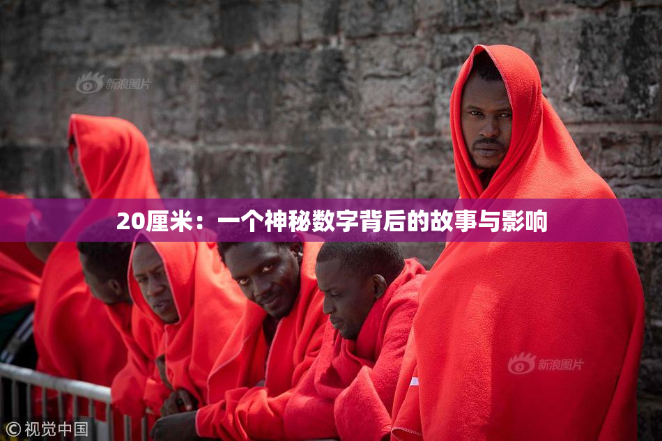 20厘米：一个神秘数字背后的故事与影响
