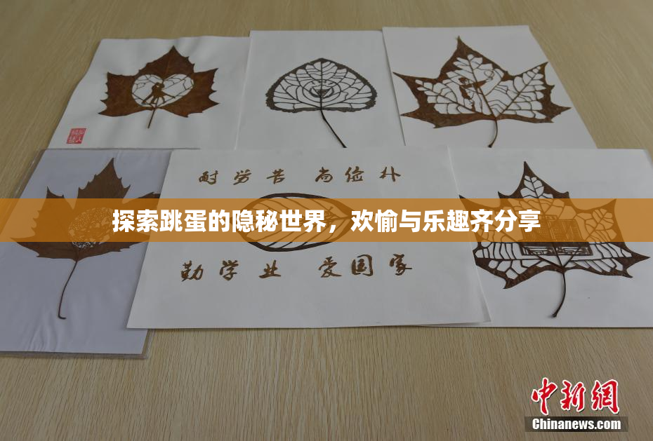 探索跳蛋的隐秘世界，欢愉与乐趣齐分享