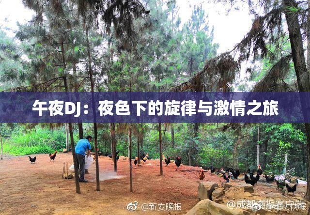 午夜DJ：夜色下的旋律与激情之旅