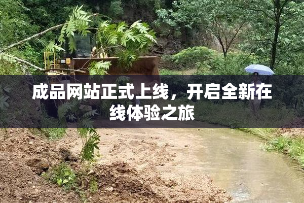 成品网站正式上线，开启全新在线体验之旅