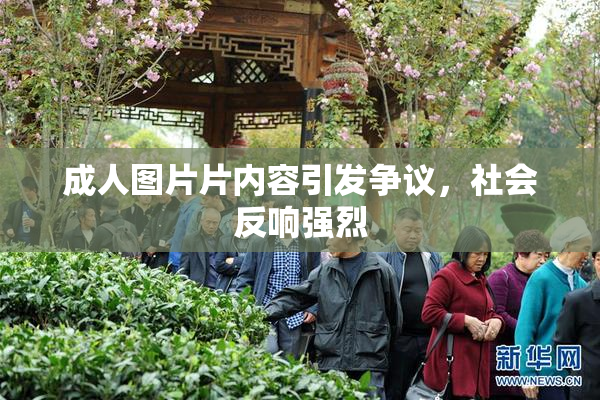 成人图片片内容引发争议，社会反响强烈