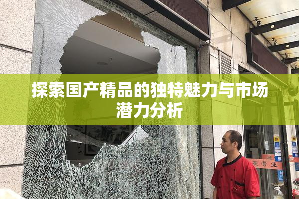 探索国产精品的独特魅力与市场潜力分析