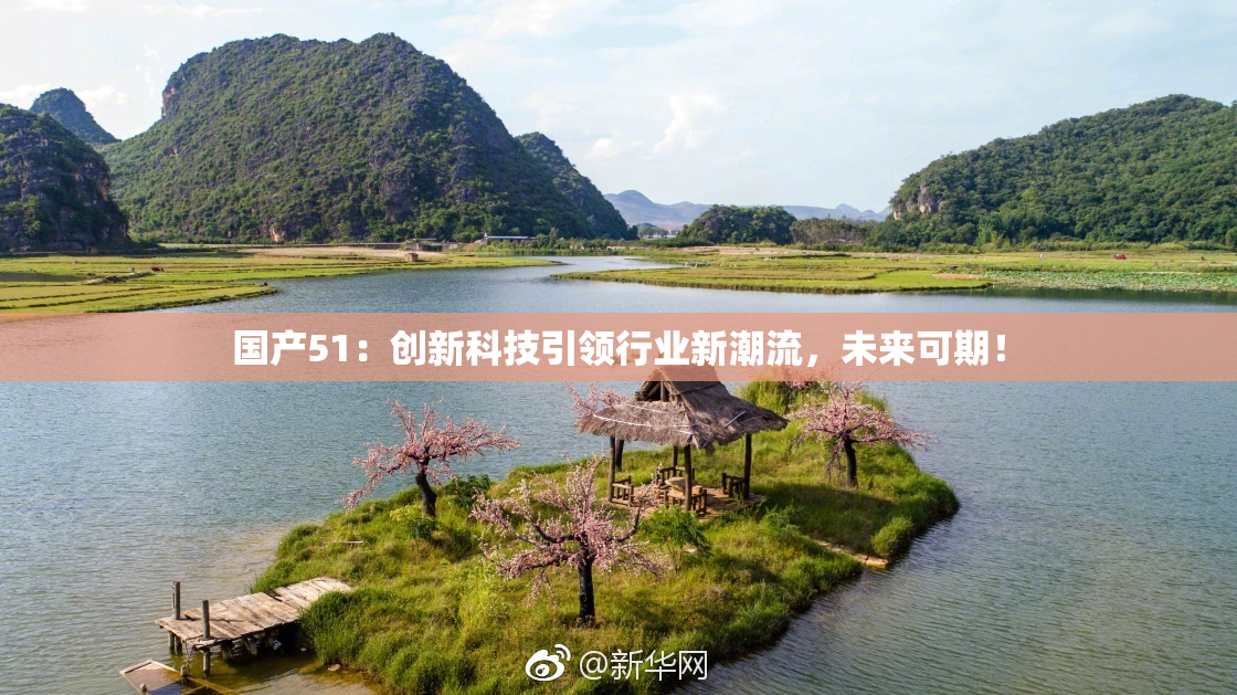 国产51：创新科技引领行业新潮流，未来可期！