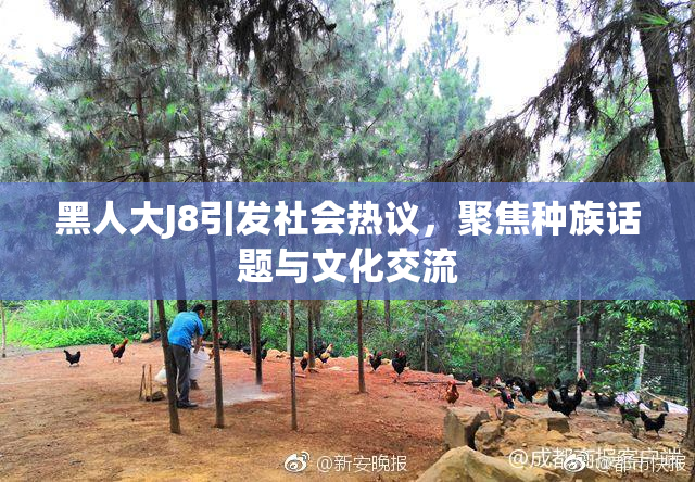 黑人大J8引发社会热议，聚焦种族话题与文化交流