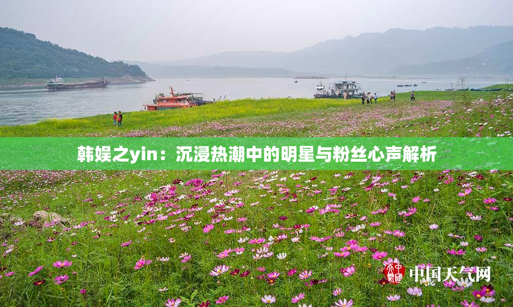 韩娱之yin：沉浸热潮中的明星与粉丝心声解析