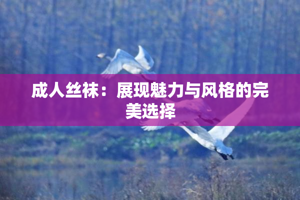 成人丝袜：展现魅力与风格的完美选择