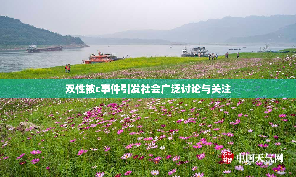 双性被c事件引发社会广泛讨论与关注