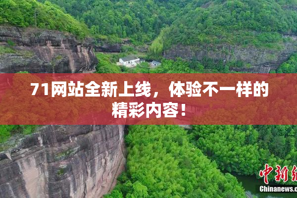 71网站全新上线，体验不一样的精彩内容！