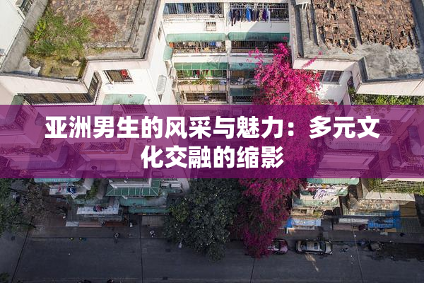 亚洲男生的风采与魅力：多元文化交融的缩影