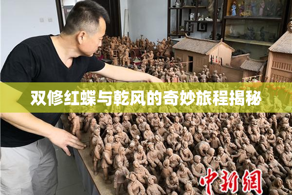 双修红蝶与乾风的奇妙旅程揭秘