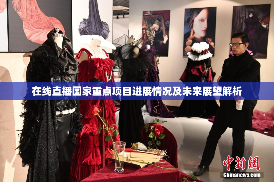 在线直播国家重点项目进展情况及未来展望解析