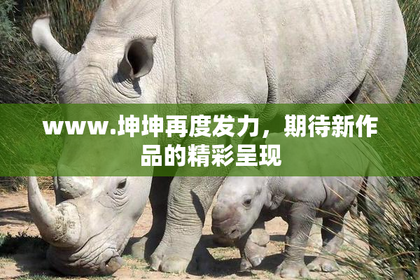 www.坤坤再度发力，期待新作品的精彩呈现