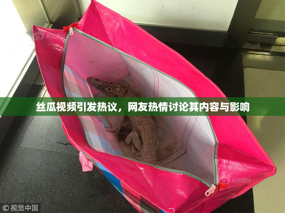 丝瓜视频引发热议，网友热情讨论其内容与影响