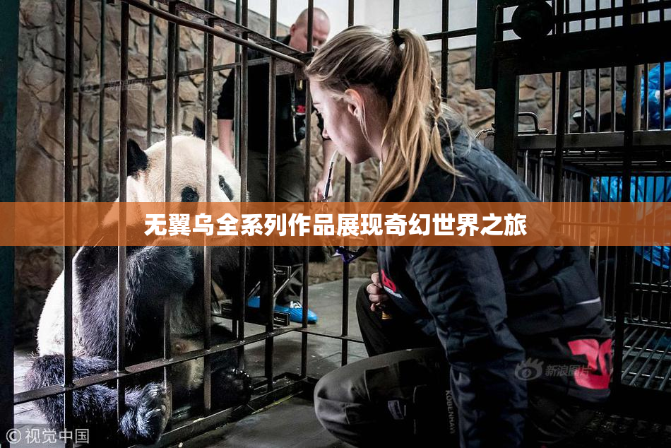 无翼乌全系列作品展现奇幻世界之旅