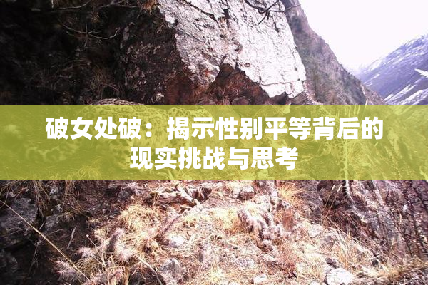 破女处破：揭示性别平等背后的现实挑战与思考