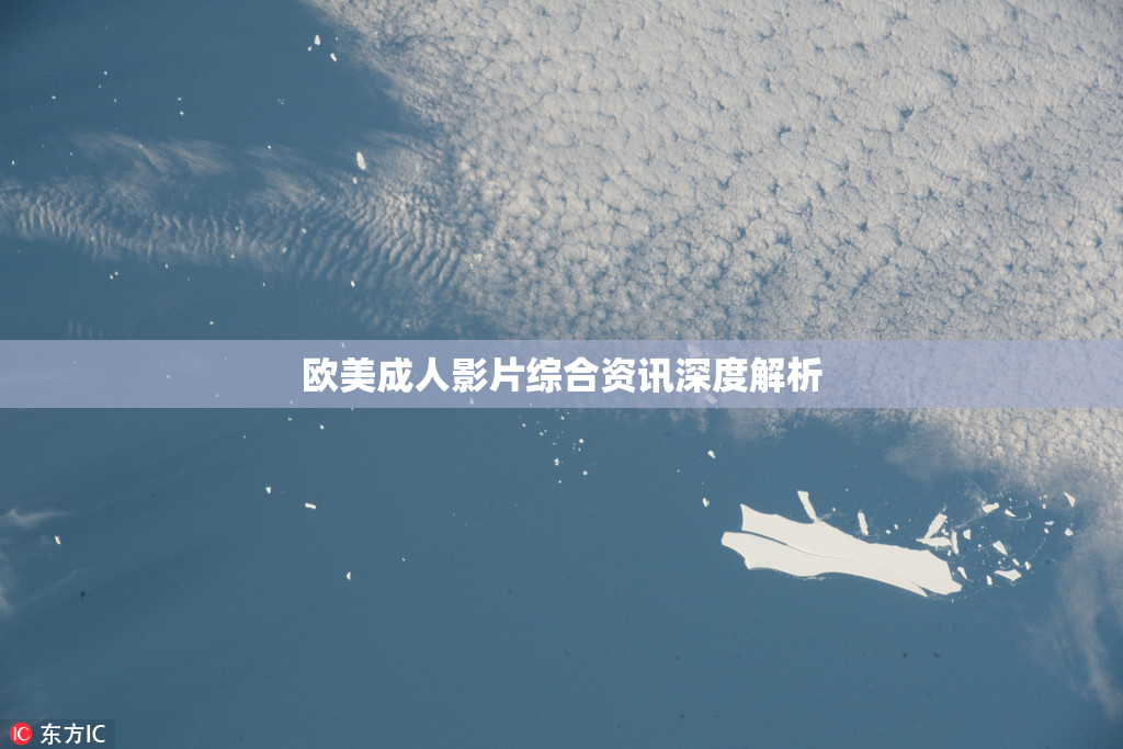 欧美成人影片综合资讯深度解析
