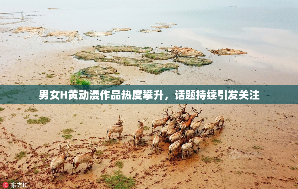 男女H黄动漫作品热度攀升，话题持续引发关注