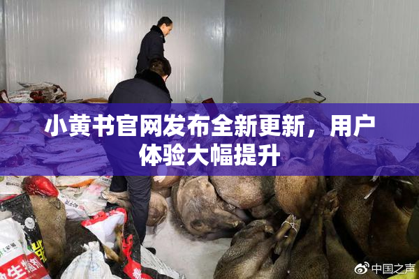 小黄书官网发布全新更新，用户体验大幅提升