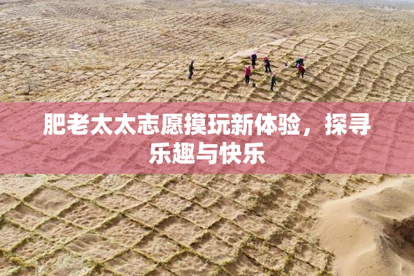 肥老太太志愿摸玩新体验，探寻乐趣与快乐