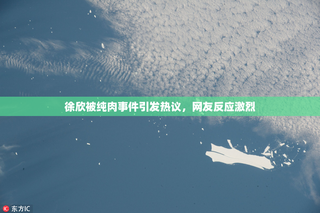 徐欣被纯肉事件引发热议，网友反应激烈