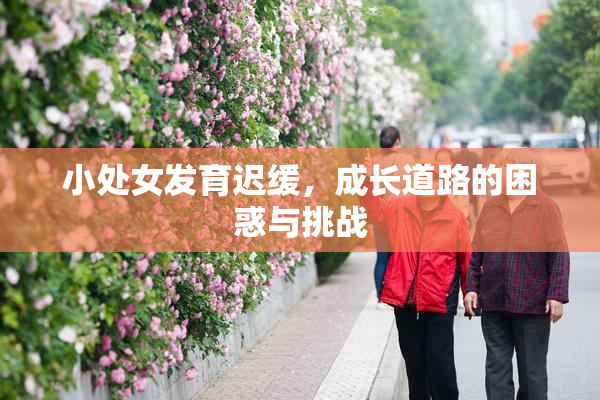 小处女发育迟缓，成长道路的困惑与挑战
