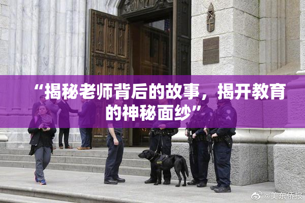 “揭秘老师背后的故事，揭开教育的神秘面纱”