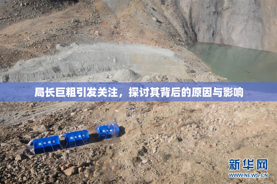 局长巨粗引发关注，探讨其背后的原因与影响