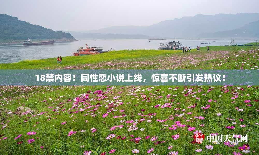 18禁内容！同性恋小说上线，惊喜不断引发热议！