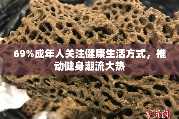 69%成年人关注健康生活方式，推动健身潮流大热