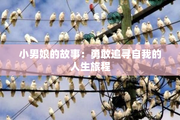 小男娘的故事：勇敢追寻自我的人生旅程