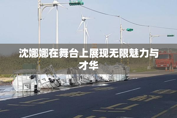 沈娜娜在舞台上展现无限魅力与才华