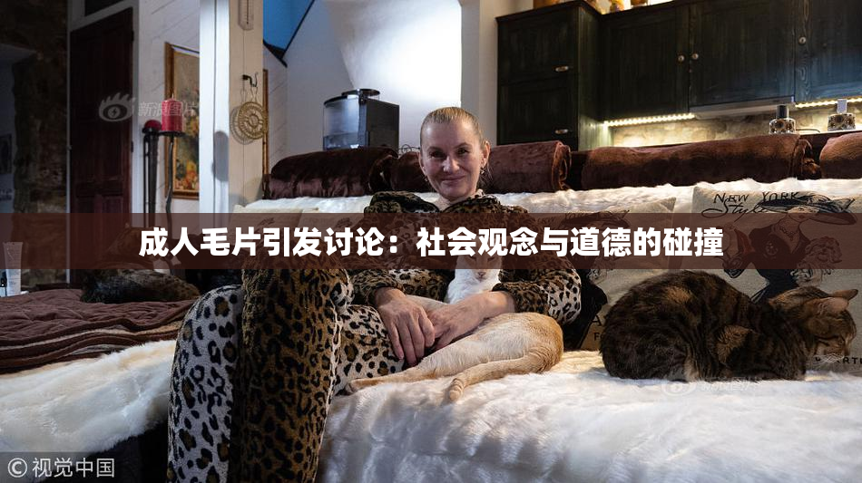 成人毛片引发讨论：社会观念与道德的碰撞