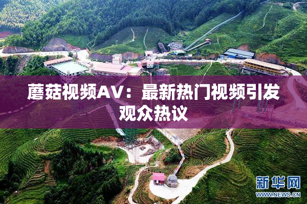 蘑菇视频AV：最新热门视频引发观众热议