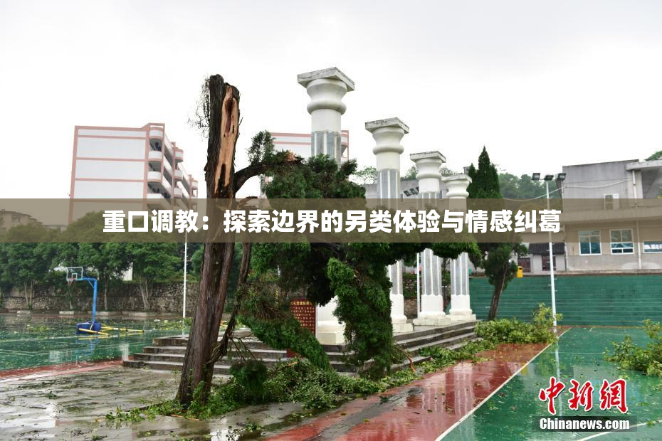 重口调教：探索边界的另类体验与情感纠葛