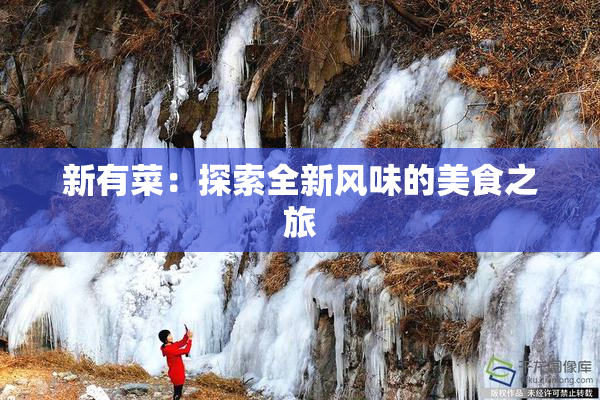 新有菜：探索全新风味的美食之旅
