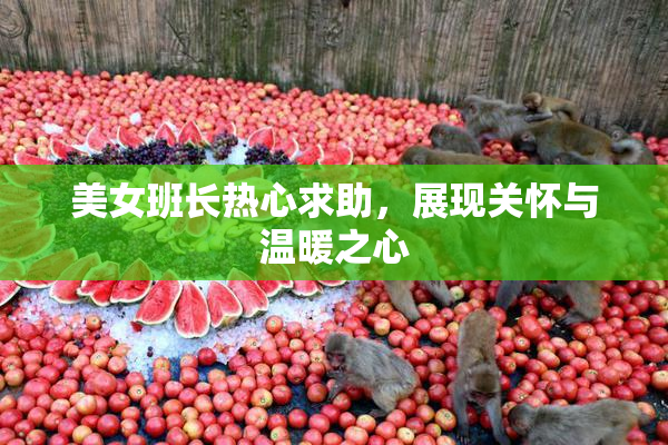 美女班长热心求助，展现关怀与温暖之心