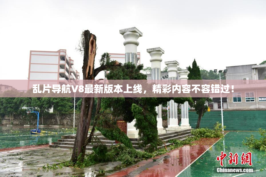 乱片导航V8最新版本上线，精彩内容不容错过！