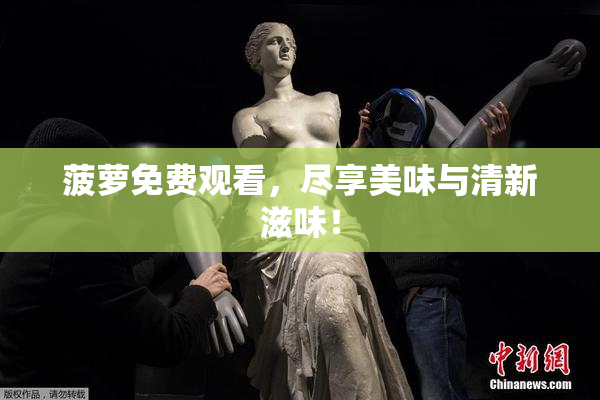 菠萝免费观看，尽享美味与清新滋味！