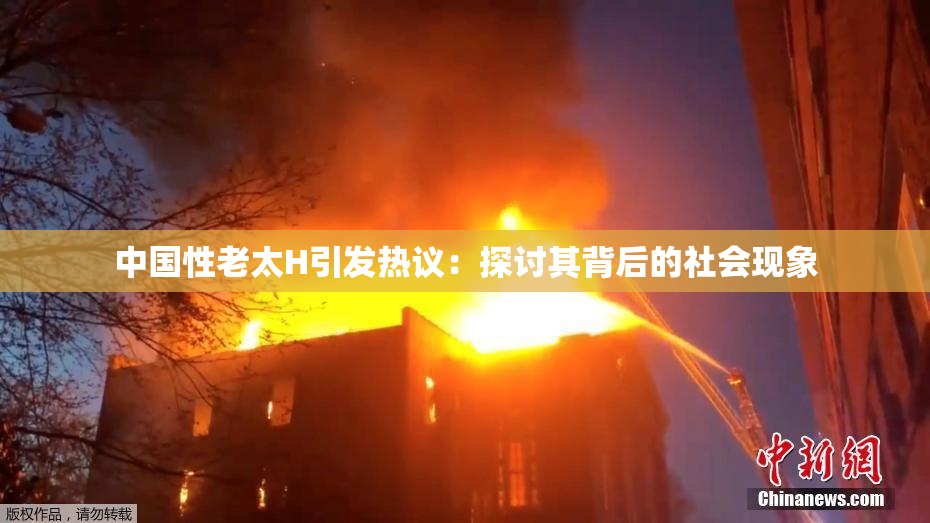 中国性老太H引发热议：探讨其背后的社会现象