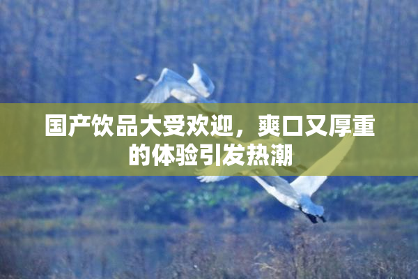 国产饮品大受欢迎，爽口又厚重的体验引发热潮