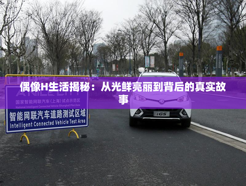 偶像H生活揭秘：从光鲜亮丽到背后的真实故事