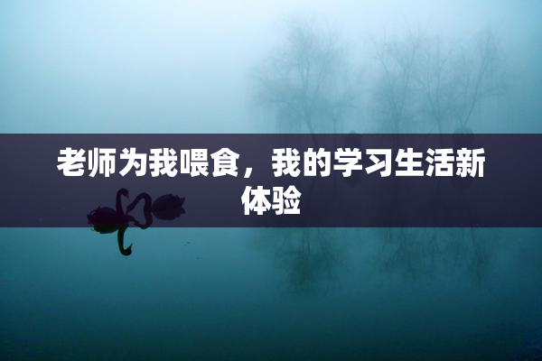 老师为我喂食，我的学习生活新体验