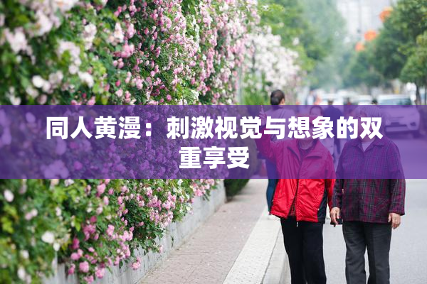 同人黄漫：刺激视觉与想象的双重享受
