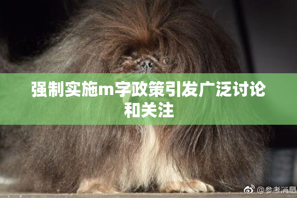 强制实施m字政策引发广泛讨论和关注