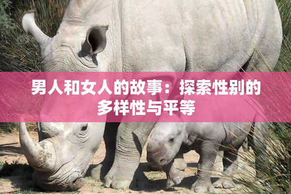 男人和女人的故事：探索性别的多样性与平等
