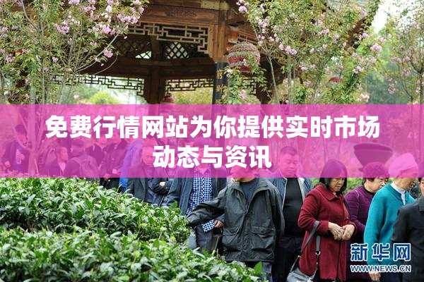免费行情网站为你提供实时市场动态与资讯