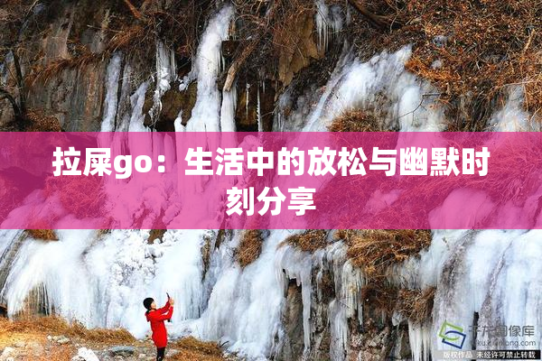 拉屎go：生活中的放松与幽默时刻分享