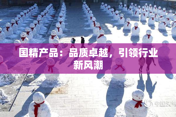 国精产品：品质卓越，引领行业新风潮