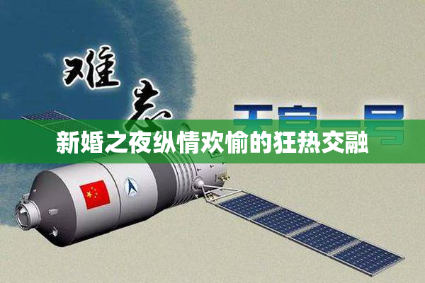 新婚之夜纵情欢愉的狂热交融