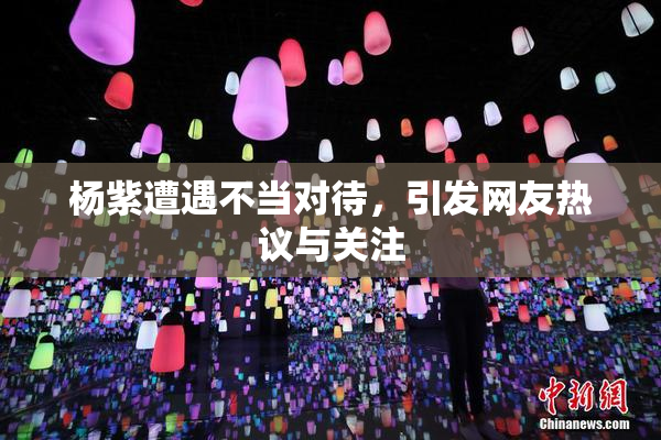 杨紫遭遇不当对待，引发网友热议与关注